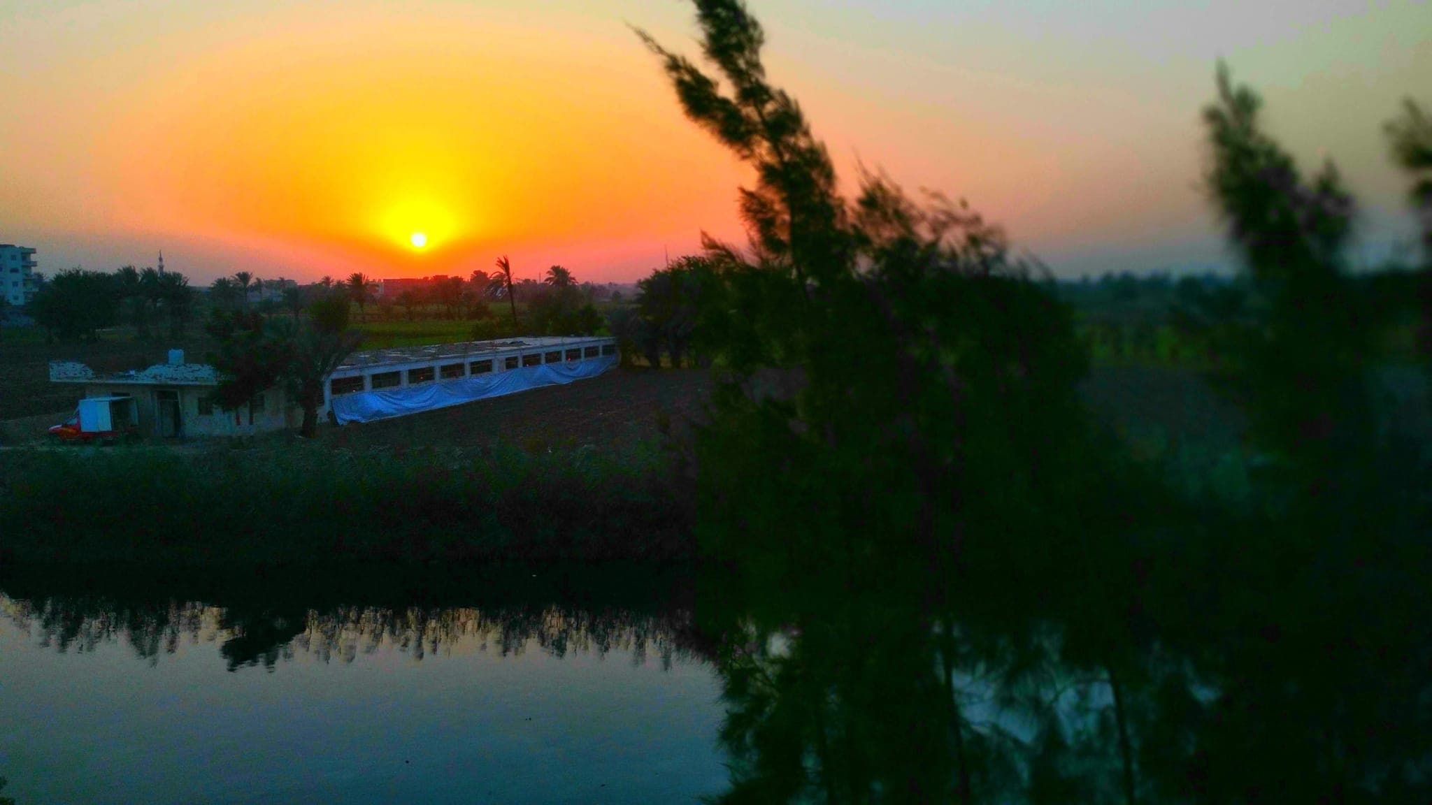El Sharkia Governorate: History, Heritage, and Hidden Gems