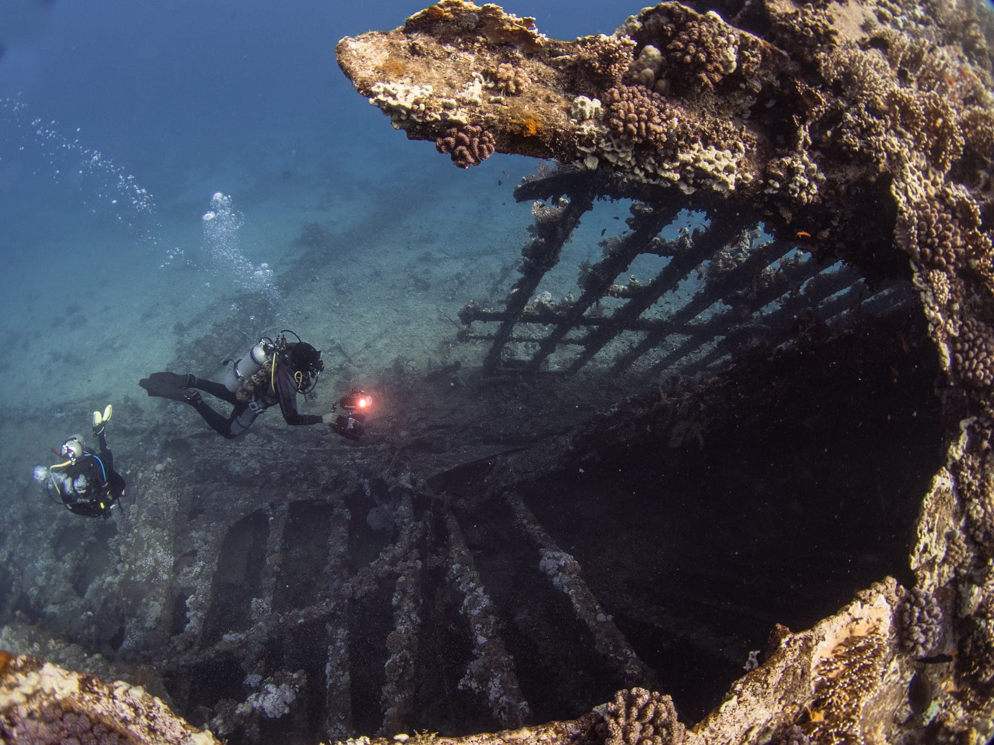 Egypt's Red Sea: A Haven for Adventure and Relaxation