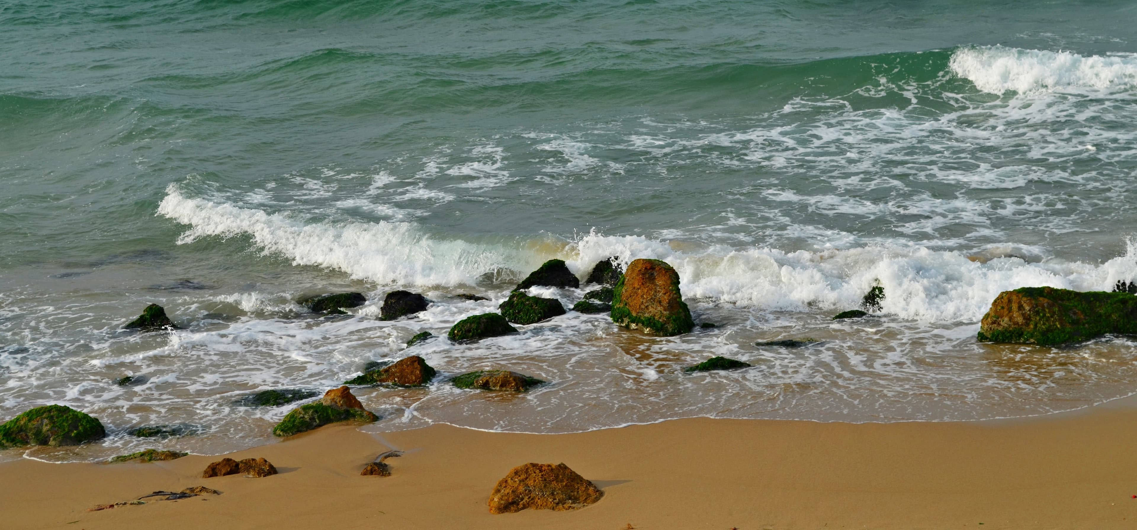 Alexandria: Egypt's Mediterranean Gem