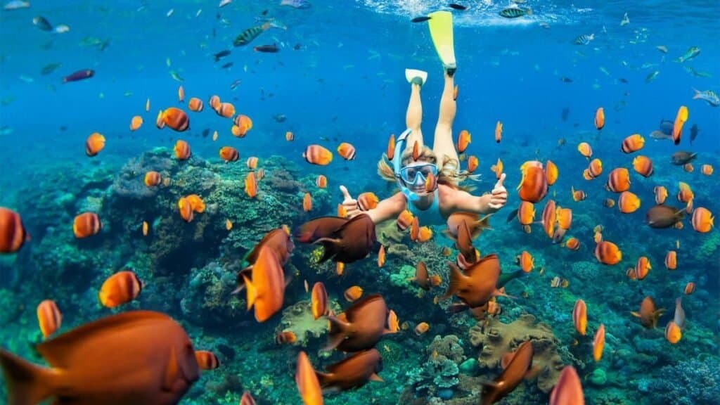Ras Muhammad Snorkel & Desert Safari